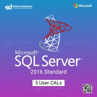 Microsoft-SQL-Server-2016-Standard-5-User-CALs.webp