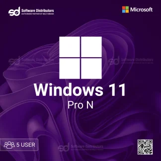 Windows 11 Pro N 5 Users